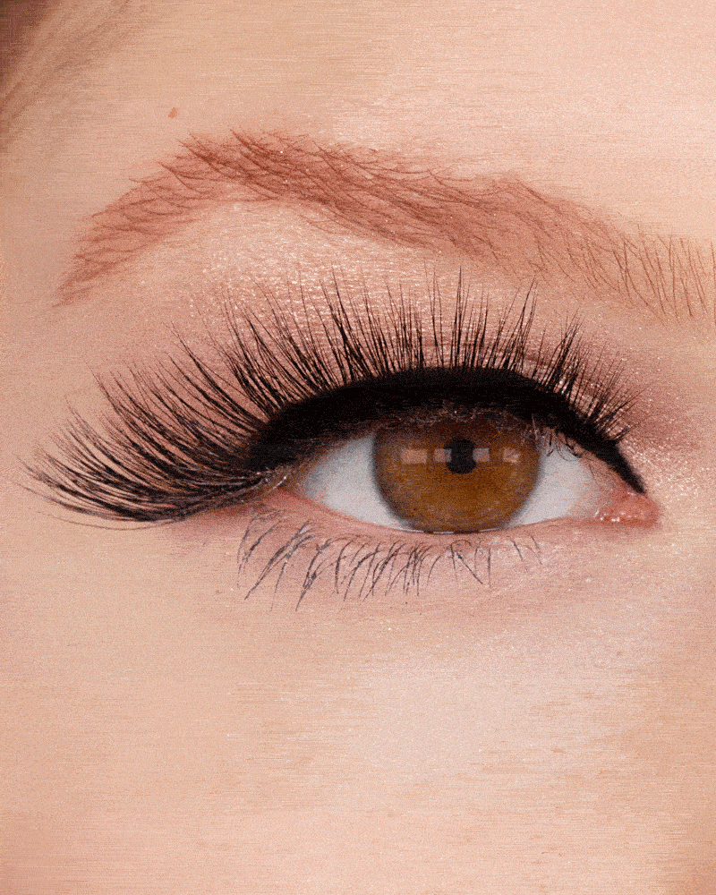 5 Steps to Wearing False Lashes | Beth Bender Beauty