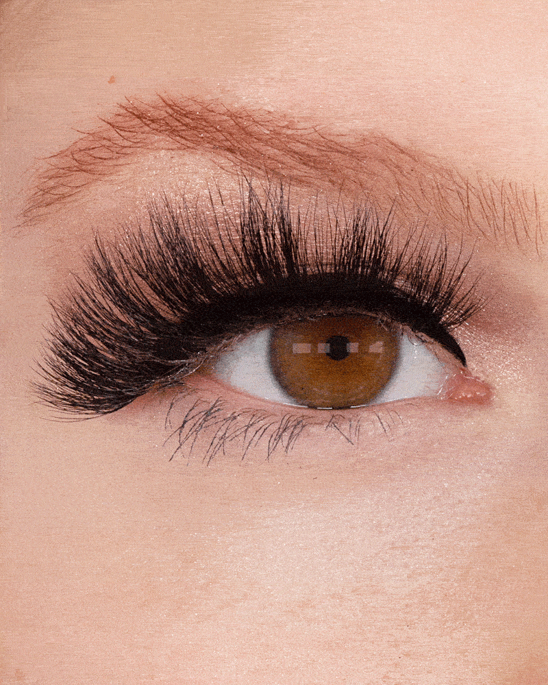 NEW! LASHOUT Lashes Aubrey