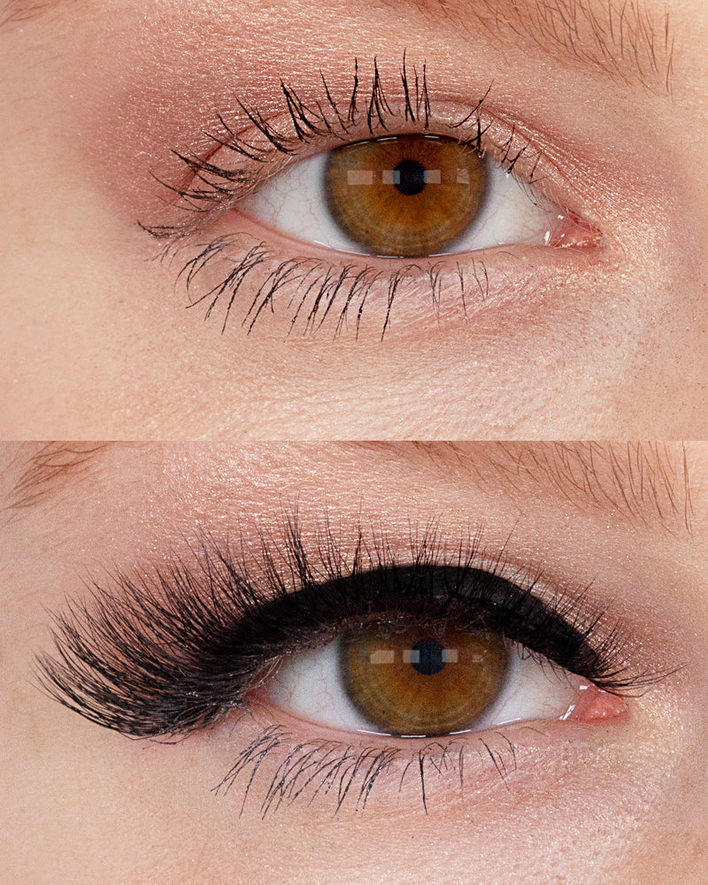 NEW! LASHOUT Lashes Adira