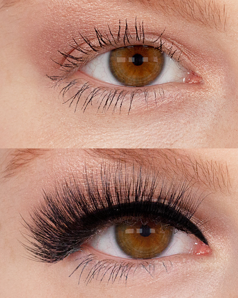 NEW! LASHOUT Lashes Bellatrix