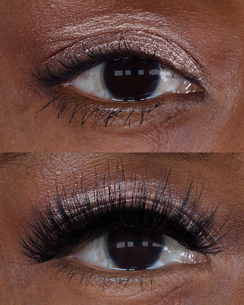 NEW! LASHOUT Lashes Bernadette