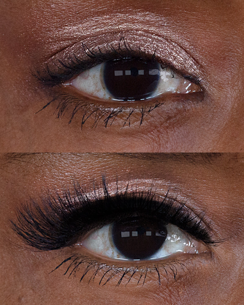 NEW! LASHOUT Lashes Ella