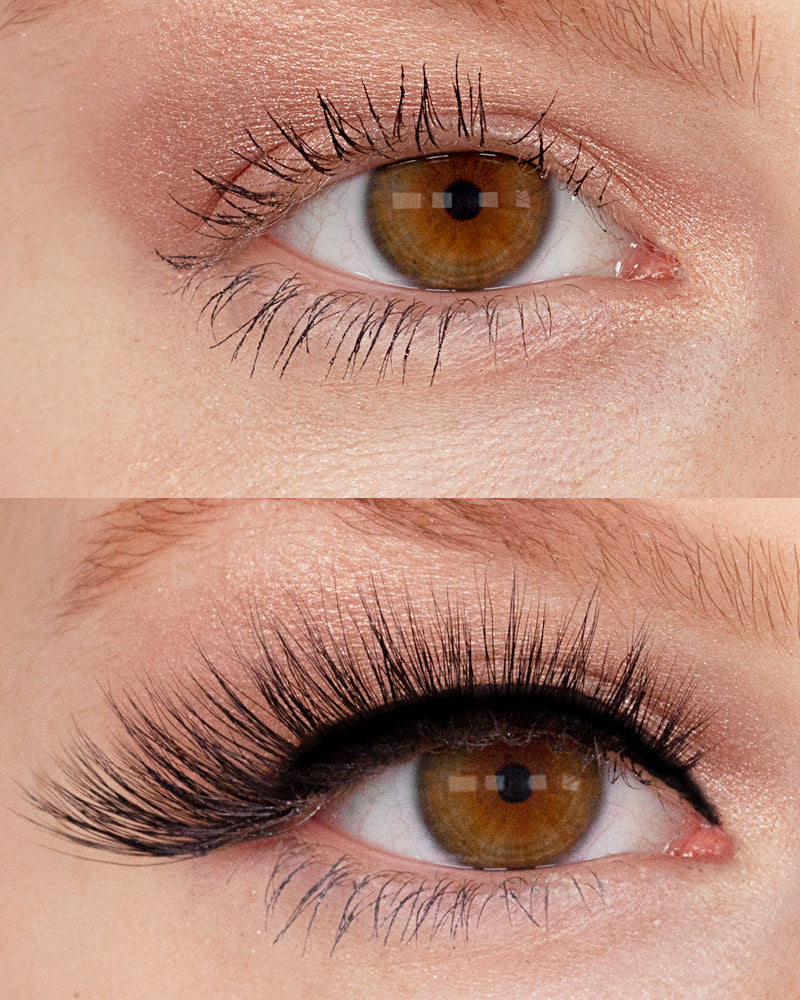 NEW! LASHOUT Lashes Bernadette