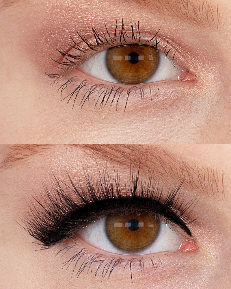 NEW! LASHOUT Lashes Ella