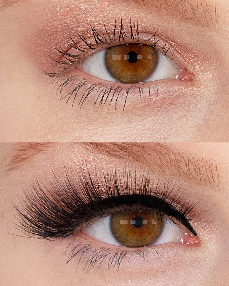 LASHOUT Lashes Mae